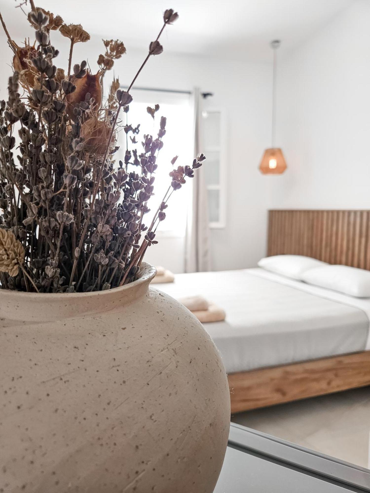 Oikia Suites Mykonos Mykonos Town Luaran gambar